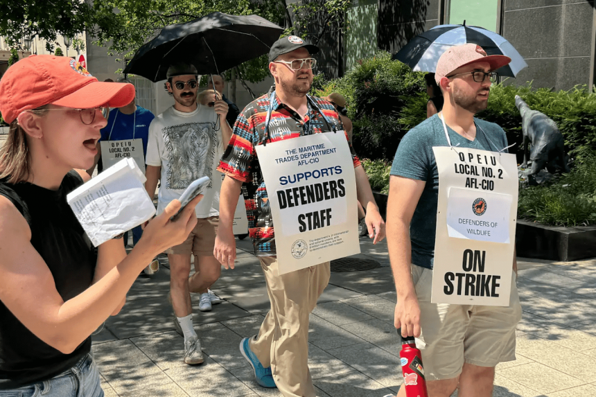 DOW Strike DOW Strike